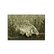 Alfombra Delphin CatchME! KAPOR I 60x40cm