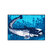 Tapete Delphin CatchME! SUMEC I 60x40cm